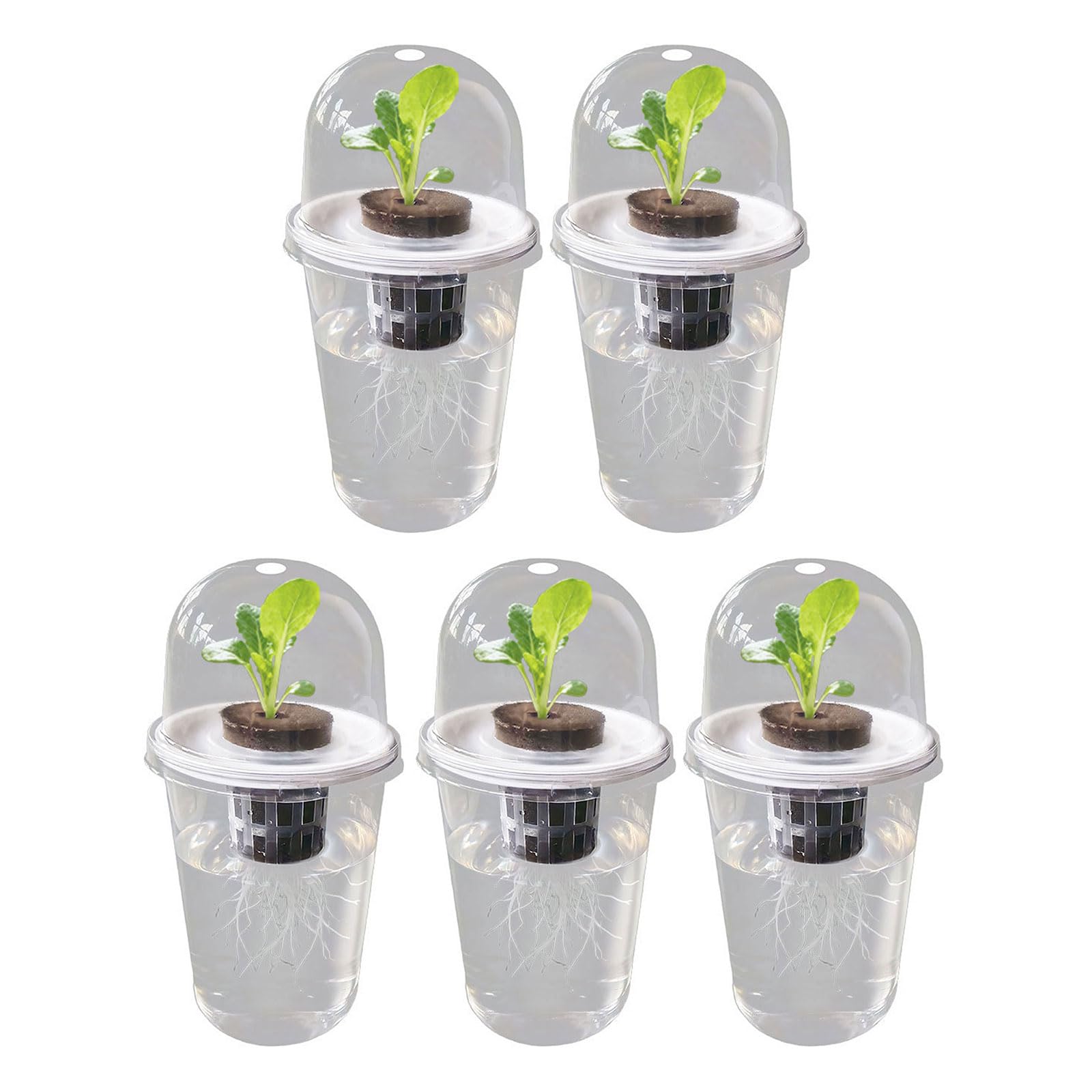 Shurhome Hydroponics Growing Planting Container Hydroponics Supplies Plant Container for Vegetable Beet Kitchen Accessories Transparency Hydroponic Seedling Starter Aerating Cylinder Planter