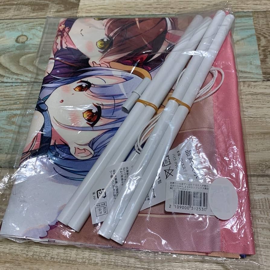 Amazon.co.jp: お姉ちゃんはゲームをすると人が変わるお姉ちゃん