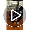 Image of Bouncer Dumbbells Pair 2.5 kg x 2 for Home & Gym Workout | Fixed Weight Dumbbells for Strength Training & Muscle Building | Heavy Duty, Unbreakable Gym Equipment (Black, 2.5kgx2)
