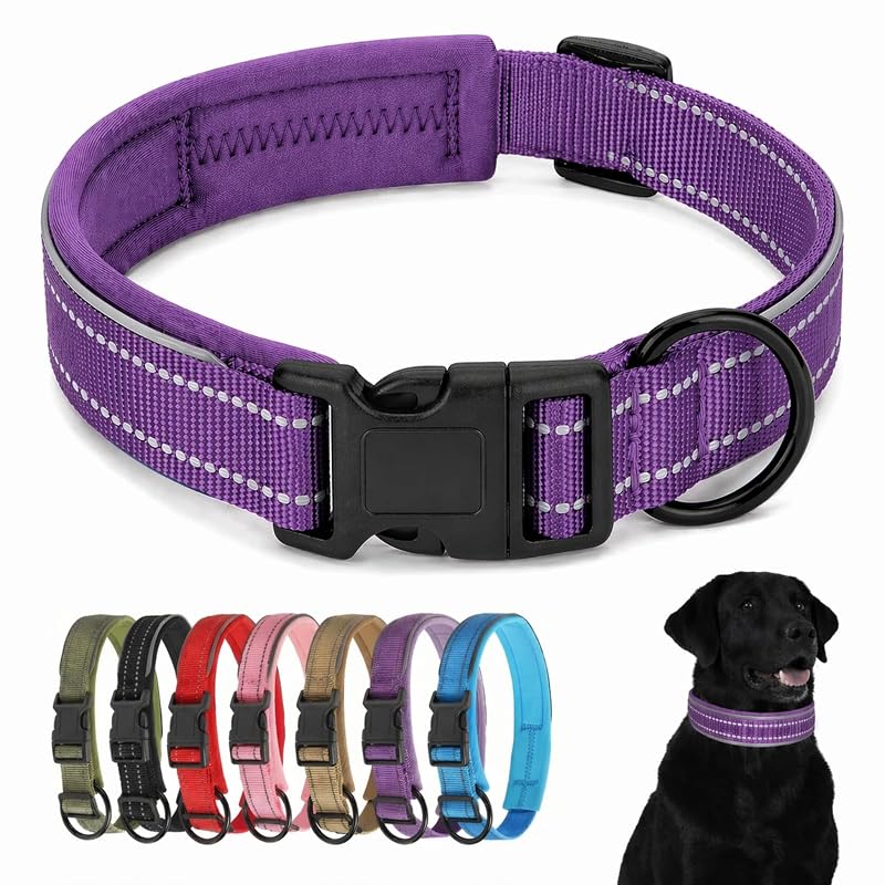 Coleira refletiva para cães com interior acolchoado e fecho rápido Swizitelon, Roxa, XL