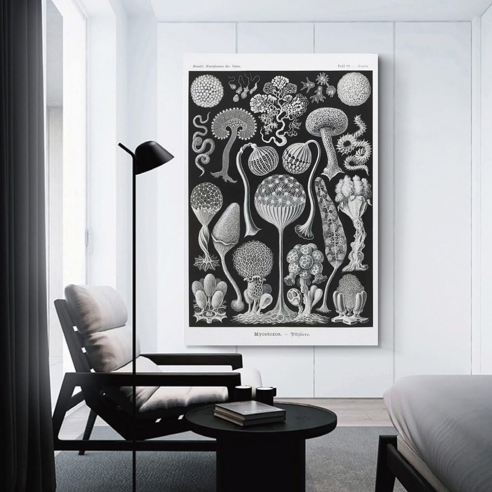 Junmoney Black And White Mushrooms Canvas Art Print, 20x30inch(50x75cm), for Restful Interiors, Bedrooms Or Small Rooms, A Warm Accent for Relaxed Interiors