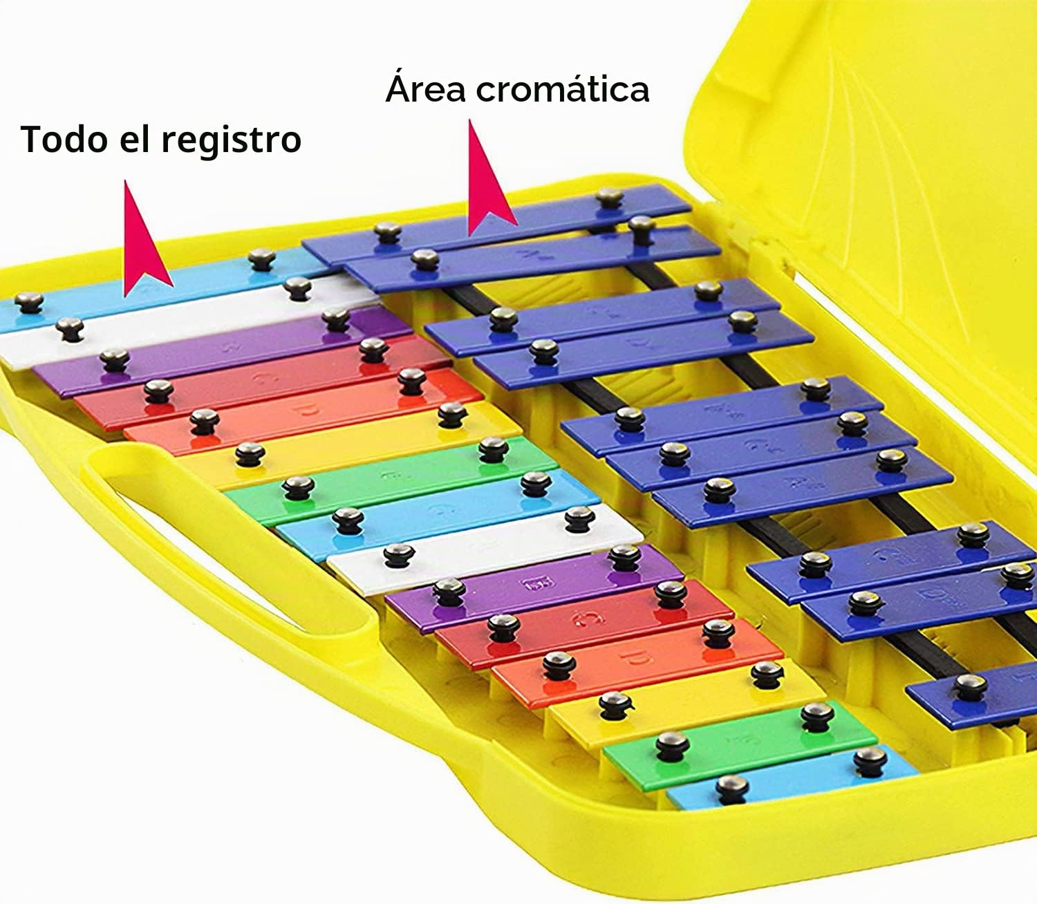 ROCKSTAR - Xilófono Cromático SF25C Glockenspiel Metalofono Carrillón, Instrumento Musical de 25 Teclas Coloridas con Estuche y Mazas