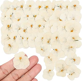 50Pcs Real Dried Pressed Pansy Flowers for Resin Molds, Mixed Dry Flowers for Resin Jewelry and Candles Making, Scrapbooking Crafts, DIY Soap, Wedding Decoration and Nails Decor (Beige)