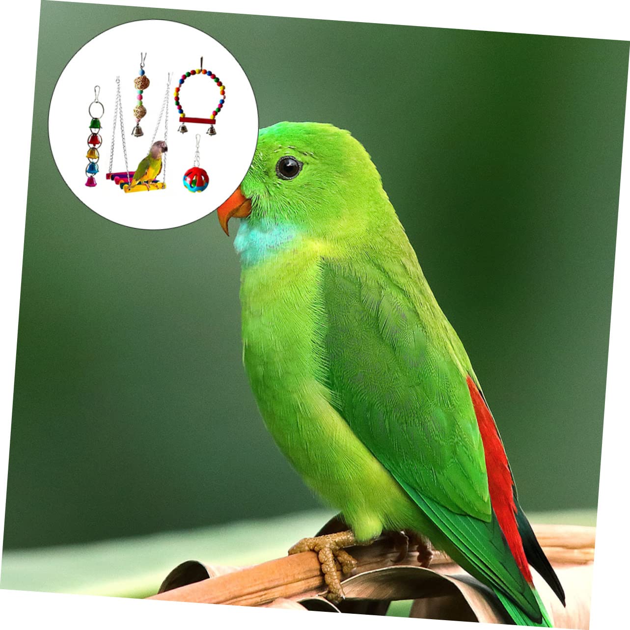 PartyKindom 5pièces Jouets à Mâcher pour Oiseaux Jouet pour Perroquet et Accessoires pour Animaux