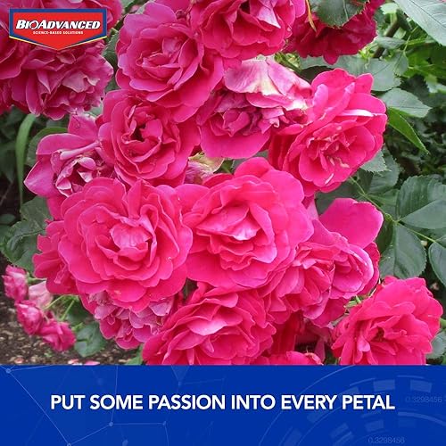 Miniatura 5 de BioAdvanced Cuidado sistémico 2 en 1 de rosas y flores, gránulos, 10 lb