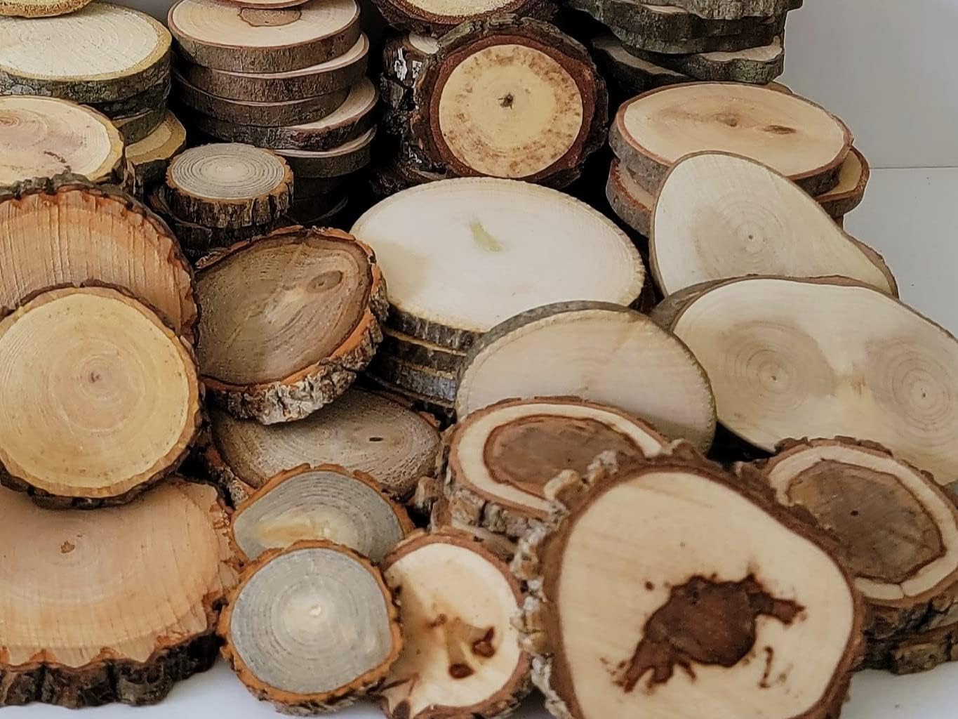 Wood Slice Variety Pack, 1" to 3", Qty of 50 Unfinished Natural Assorted Wood Rounds, Black Walnut, Red Cedar, Maple, Oak, DIY Crafts, Pyrography, Epoxy Resin Projects