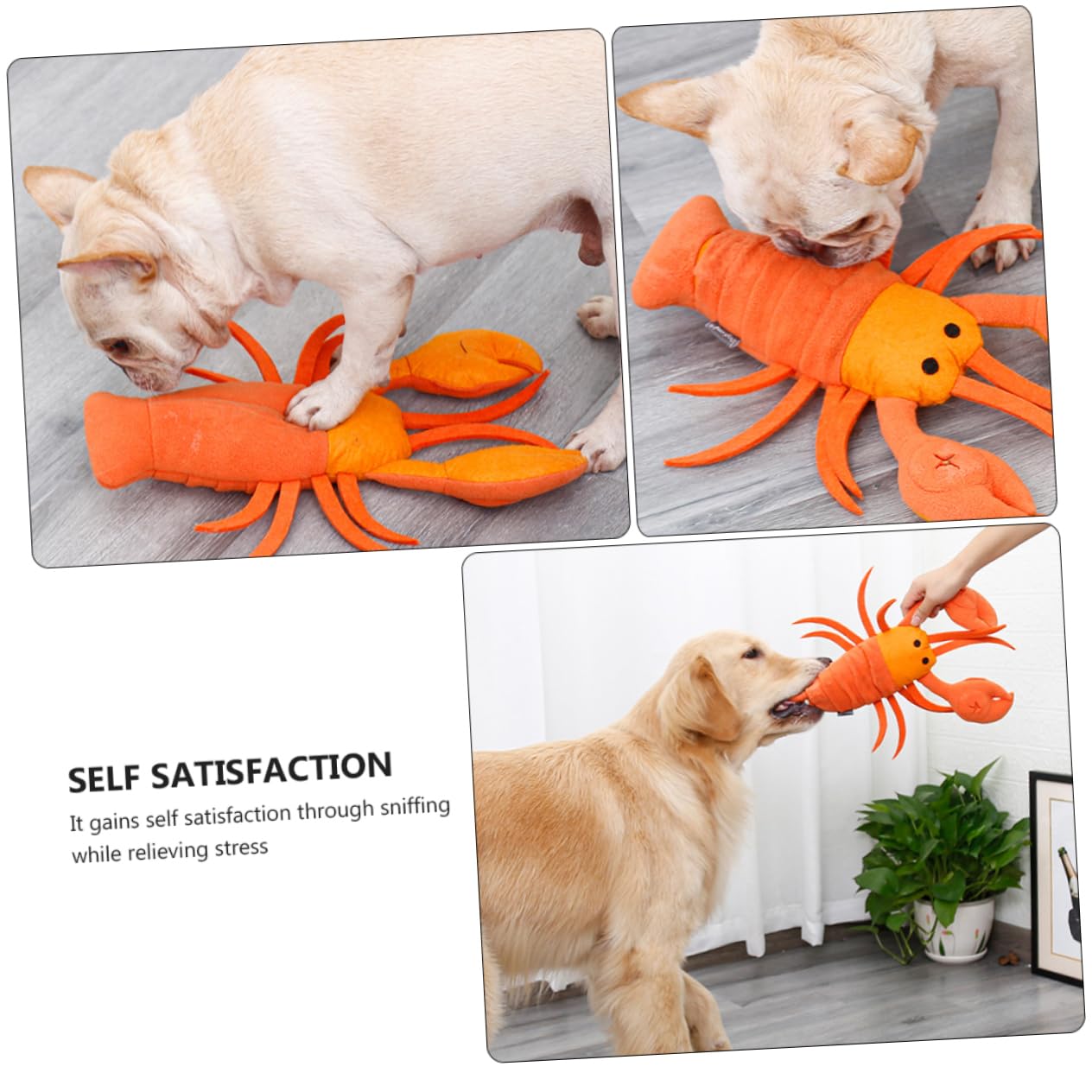FRCOLOR 2 Juguetes para Alimentar Mascotas Juguetes Rellenos para Perros Accesorios de Limpieza comederos para Mascotas Accesorios para Cachorros Juguetes de Peluche una Pieza Muestra Tela de Fieltro