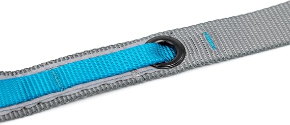 Kurgo Quantum 6 in 1 Dog Leash, Black