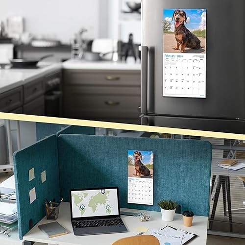 Miniatura 4 de Red Ember - Mini calendario de pared para espacios pequeños, Dachshunds 2024 para colgar mensualmente, solo 7 x 14 pulgadas de apertura, papel