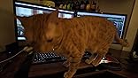 カスタマー画像