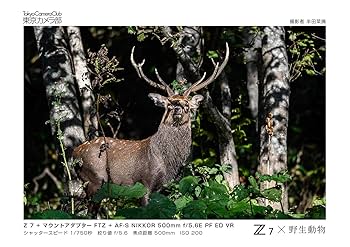 Amazon | Nikon ミラーレスカメラ 一眼 Z7 FTZ マウント