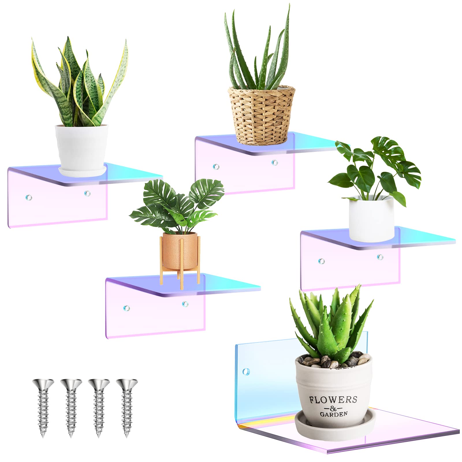Snapklik.com : Yalikop Adhesive Wall Shelves Acrylic Display Shelf Mini