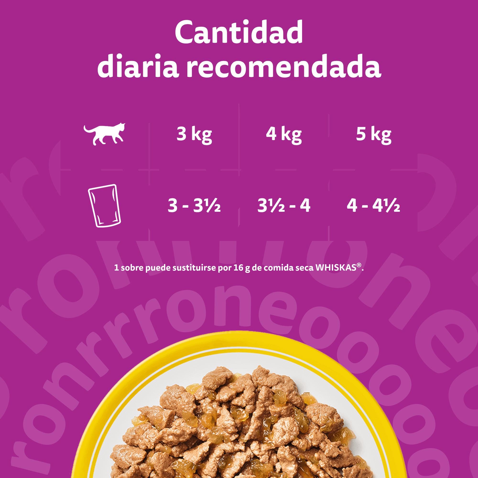 WHISKAS Comida húmeda en gelatina Gatos Adultos Selección de Aves - 4 x 12 bolsitas x 85g