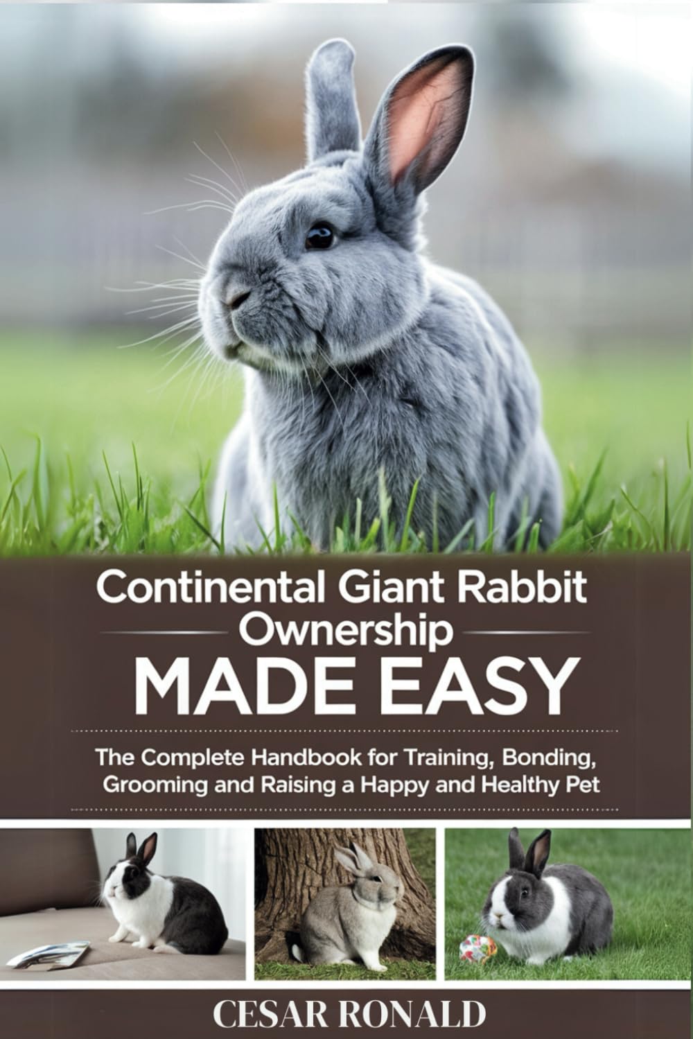 Continental Giant Rabbit Ownership Made Easy: The Complete Handbook For Training, Bonding, Grooming and Raising a Happy And Healthy Pet (The Rabbit Encyclopedia)
