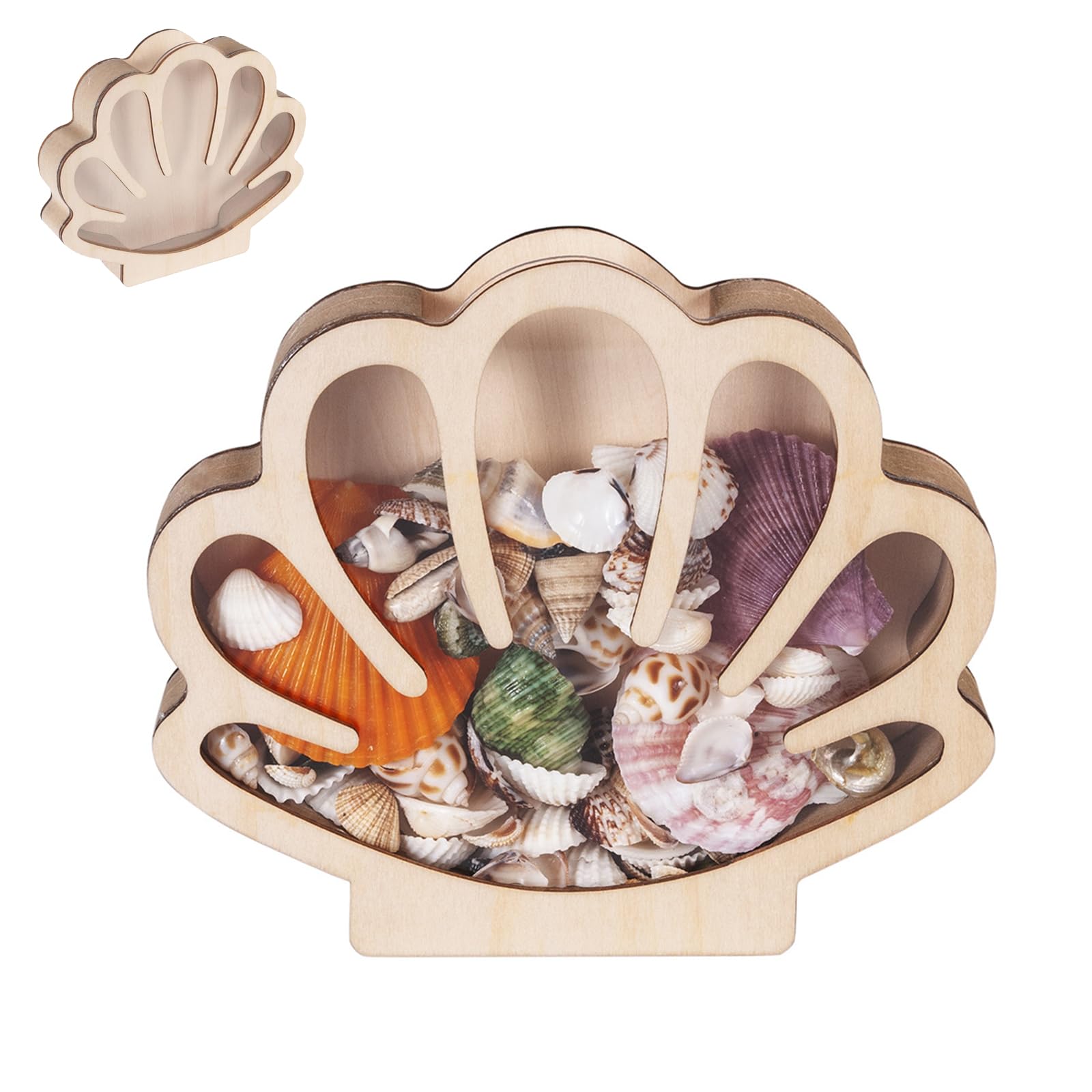 Vitrine en bois pour verre de mer et souvenirs de plage sur une étagère de salon