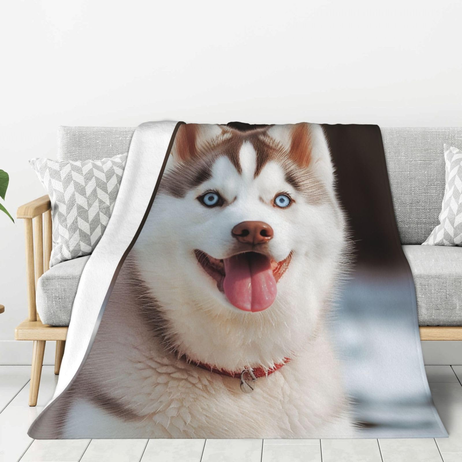 Husky Piquant Dog Throw Blanket Plush Flannel Fleece Blanket, Soft Lightweight Cozy Blankets 80"X60" for Bed Couch Sofa Travel