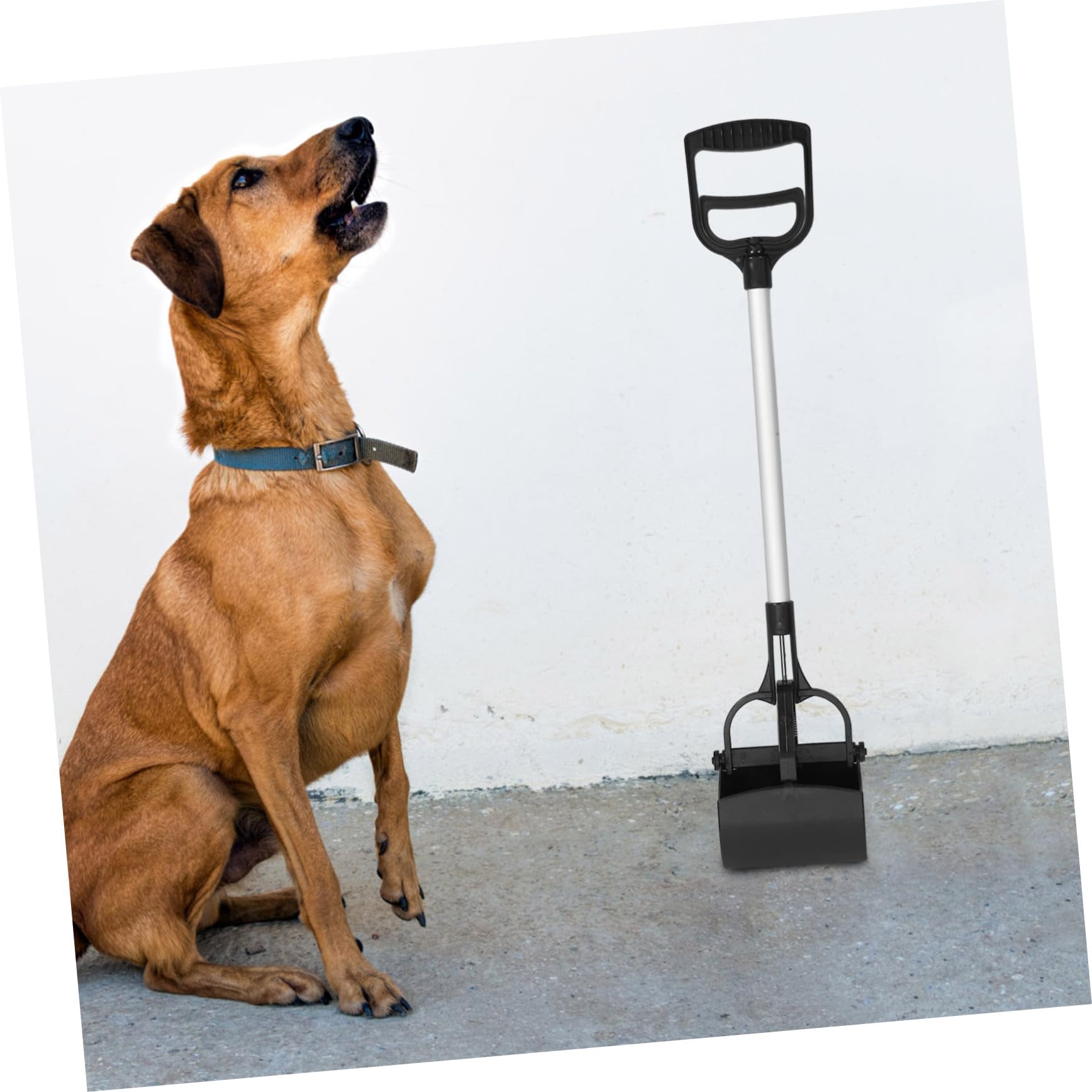 HANABASS Ramasseur Caca Chien Long Manche Léger Et Pelle Crottes Chien Large Ouverture pour Nettoyage Pets Outil Pooper Scooper Pratique pour Chats Et Protection Mains Pendant Ramassage