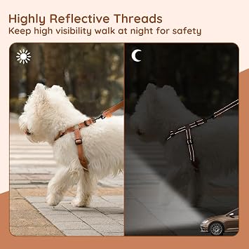 BELLA & PAL Dog Harness and Leash Set, Adjustable Step-in Puppy Harness, No-Pull Vest for XS/Small/Medium Dog, Breathable Air Mesh, Reflective Strip, Secure Buckle Closure, Dual D-Rings