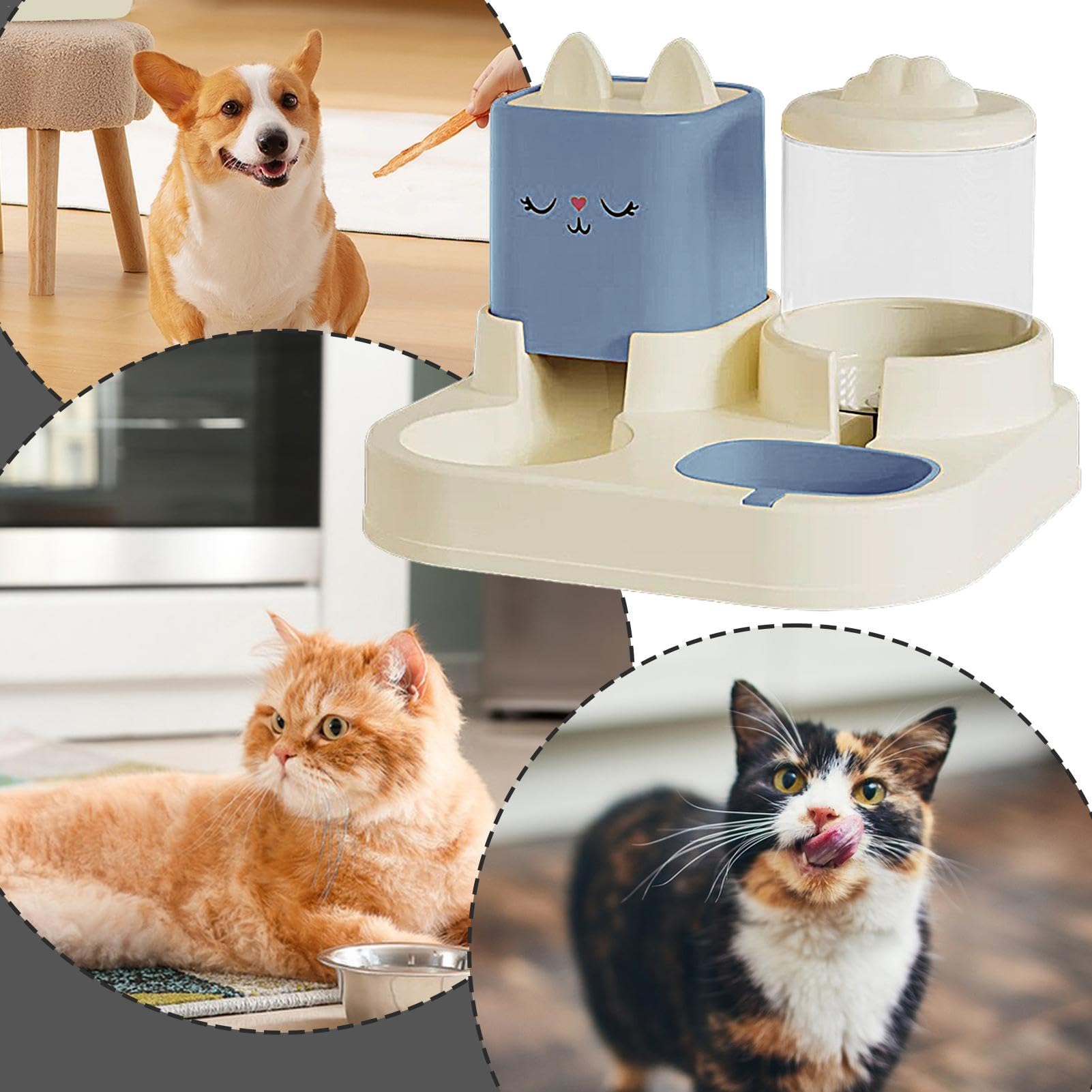 Ciotole per animali domestici, Set di distributori cibo e acqua for gatti, distributore for animali domestici, doppie ciotole con bottiglia d'acqua automatica(Blue)
