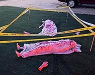 Review Image by B. Winfree B. Winfree