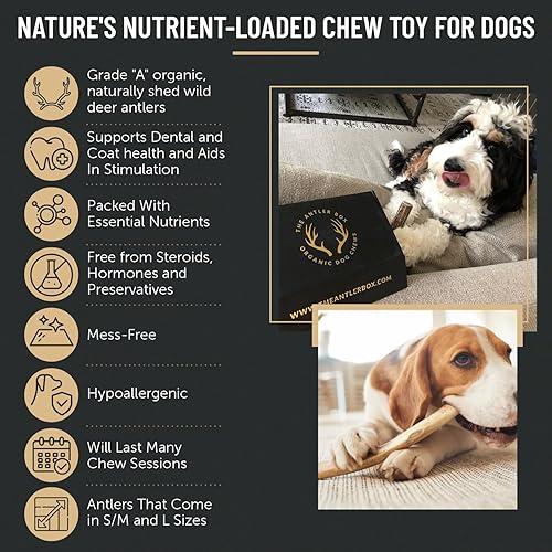 Miniatura 5 de The Antler Box Premium Deer Antler Dog Chews (1 lb Bulk Pack)  Mediano, grande y XL lleno de antídaces, larga duración, orgánico, juguetes de