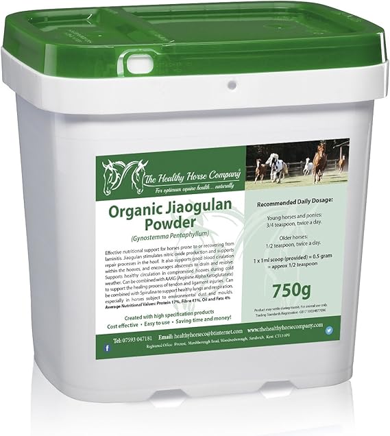 The Healthy Horse Company Jiaogulan Powder 750g Tub Amazon