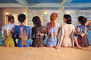 NMR 9098 Pink Floyd Back Art Decorative Poster