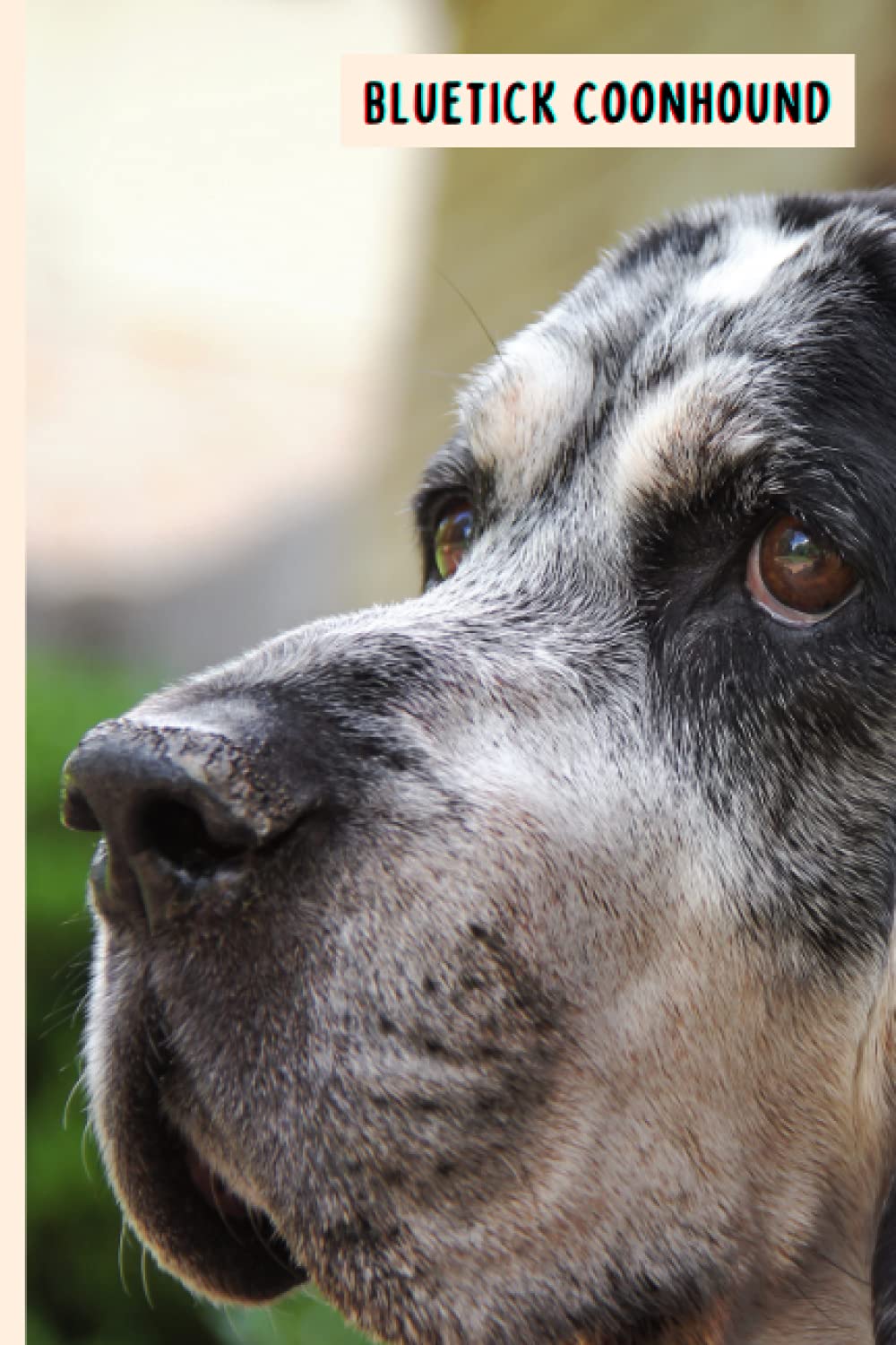 Bluetick Coonhound: Funny Wide Ruled Notebook Gift For Bluetick Coonhound Lovers - Perfect Bluetick Coonhound Dog Gift On Valentine Day/Birthday/Halloween - 6 x 9 Inches - 110 Lined Pages