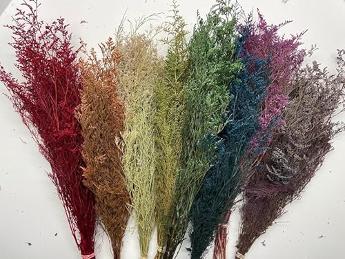 Dried Caspia Bunch , Dried Floral, Wedding Bouquets, Bridal Flowers,