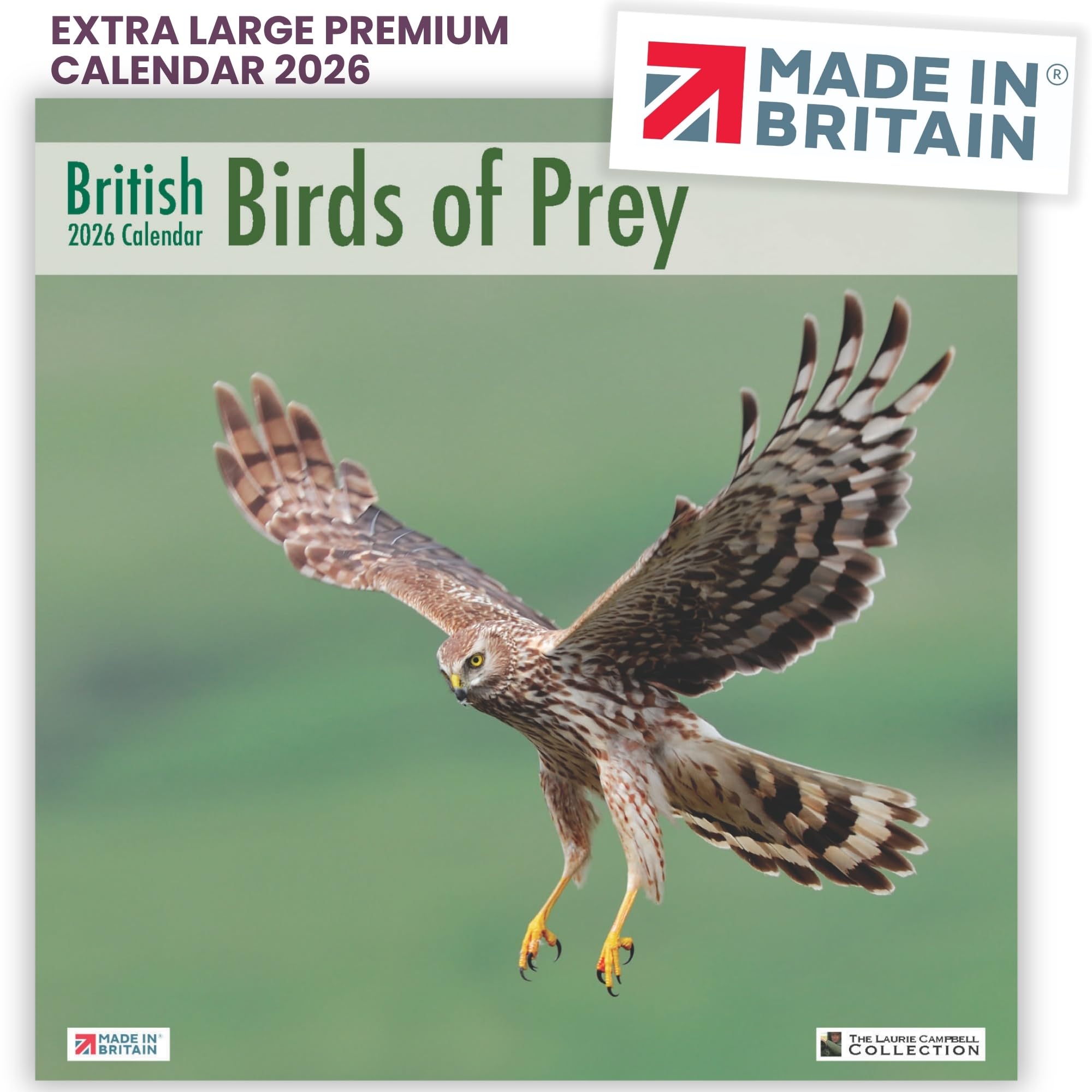 ALLTRADE Calendar 2026 British Birds of Prey Large Premium Wall 2026 Calendar UK Holidays MADE IN BRITAIN® on FSC® Paper Photos by LAURIE CAMPBELL Supports The Woodland Trust Tree Planting Great Gift — image 1