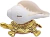 Natural Loud Blowing shankh Conch Shell with kachua Shape Stand Golden