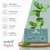 Peppermint & Marshmallow Herbal Blend - Amsterdam Café Herbal Tea - 100% Natural Refreshing & Mild Premium Loose Leaves for Tea & Applications (50g + Grinder)