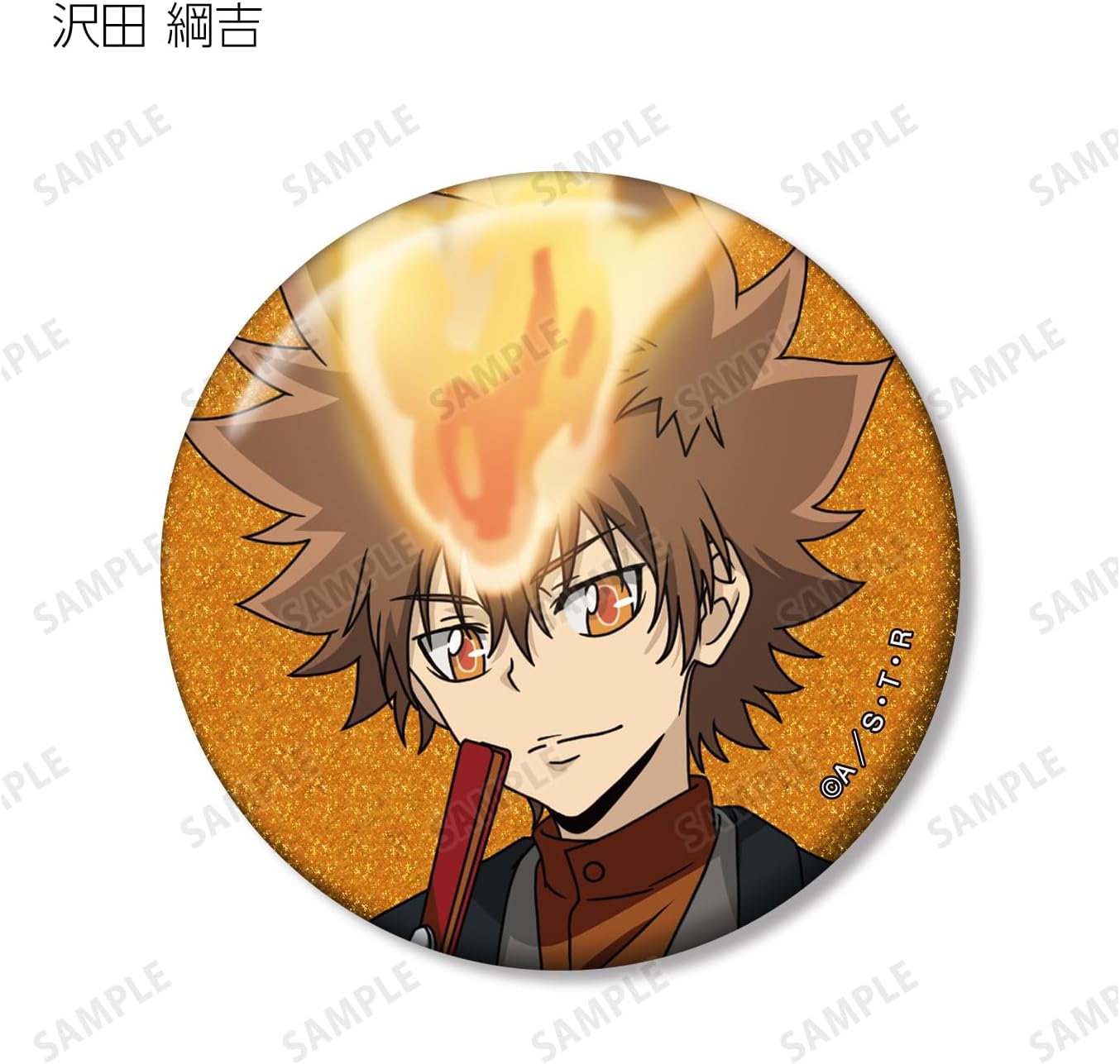 Home Teacher Hitman Reborn! Illustrated Japanese and Western Eclipse Version Trading Glitter Can Badges Box of 10