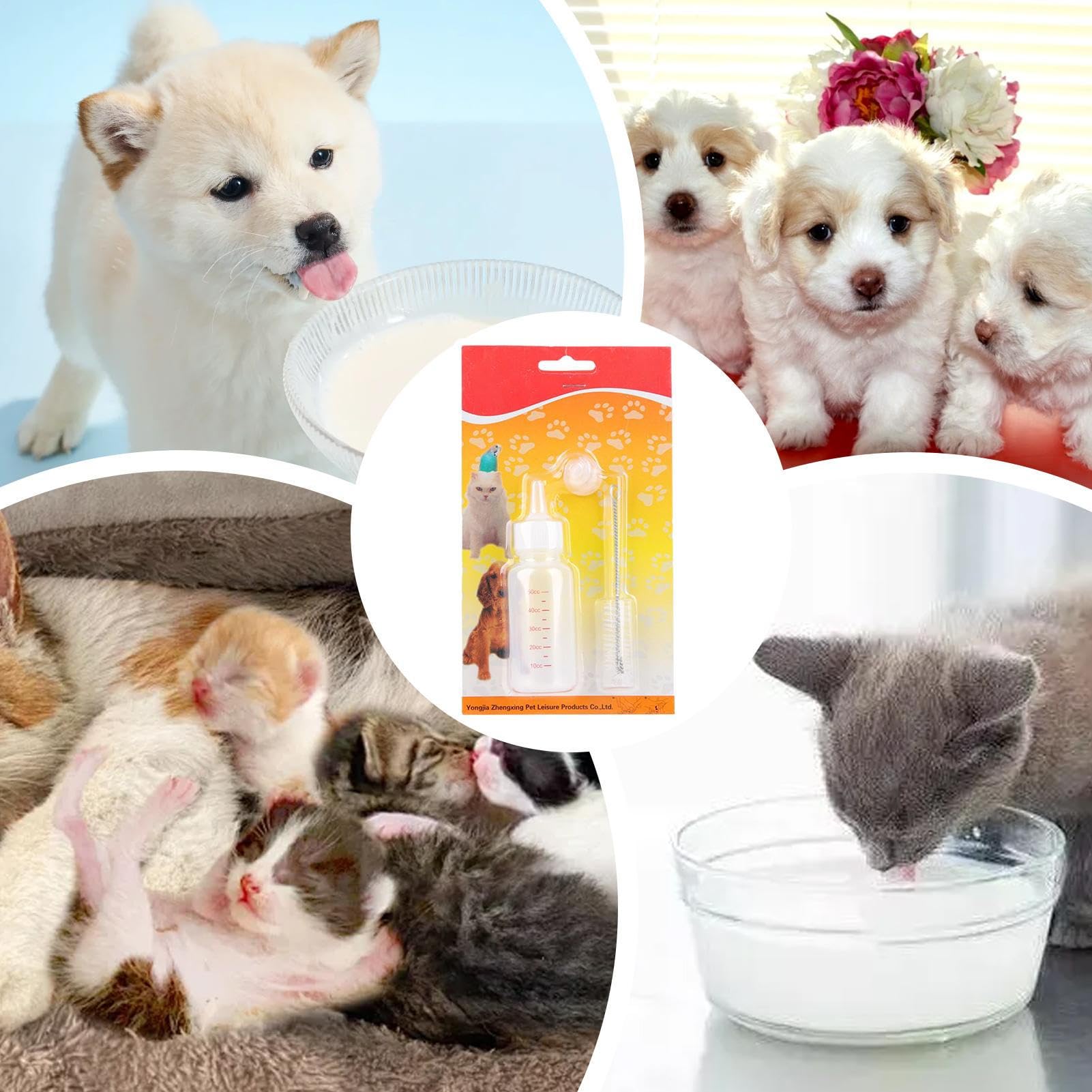 Biberón para Cachorros Botella De Agua Portátil Antiderrames De Pequeños | Set Biberón Mini Para Perros 50 ml , Ardillas, Hurones, Mapaches, Hámsteres, Viajes, Lactancia Y Clíni