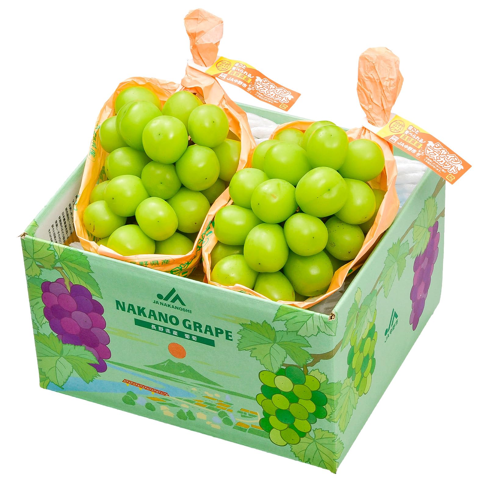 Amazon.co.jp: 【Amazon.co.jp限定】 NAKANO GRAPE 【先行予約】【2026