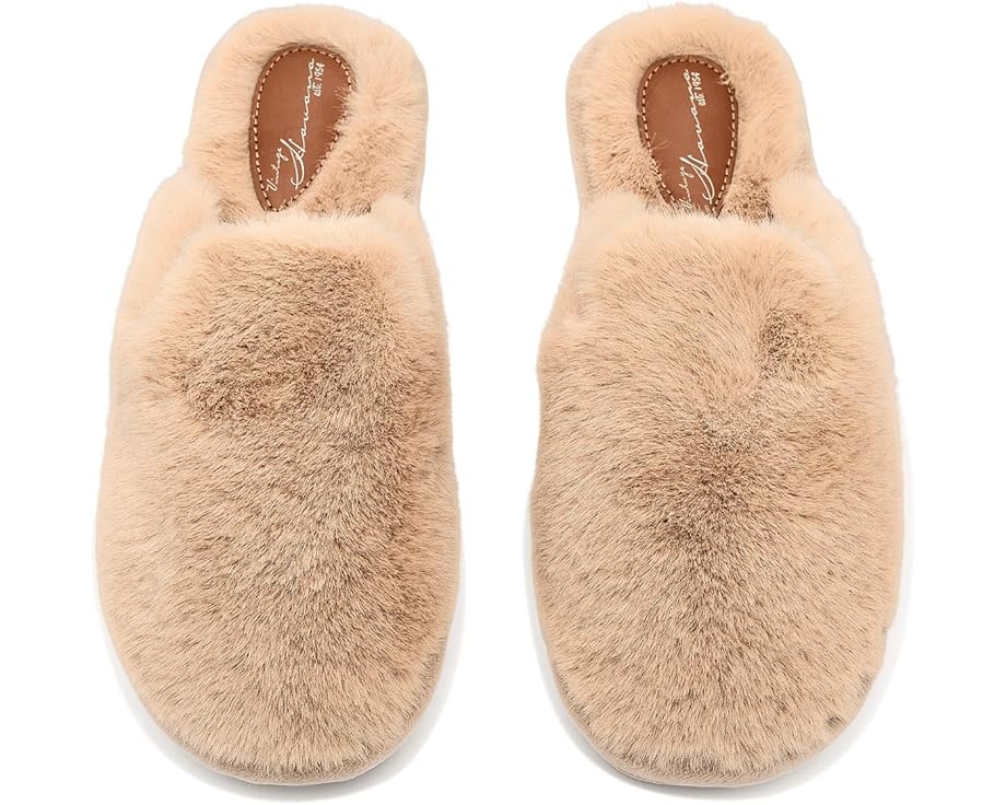 Vintage Havana Salem - Top View