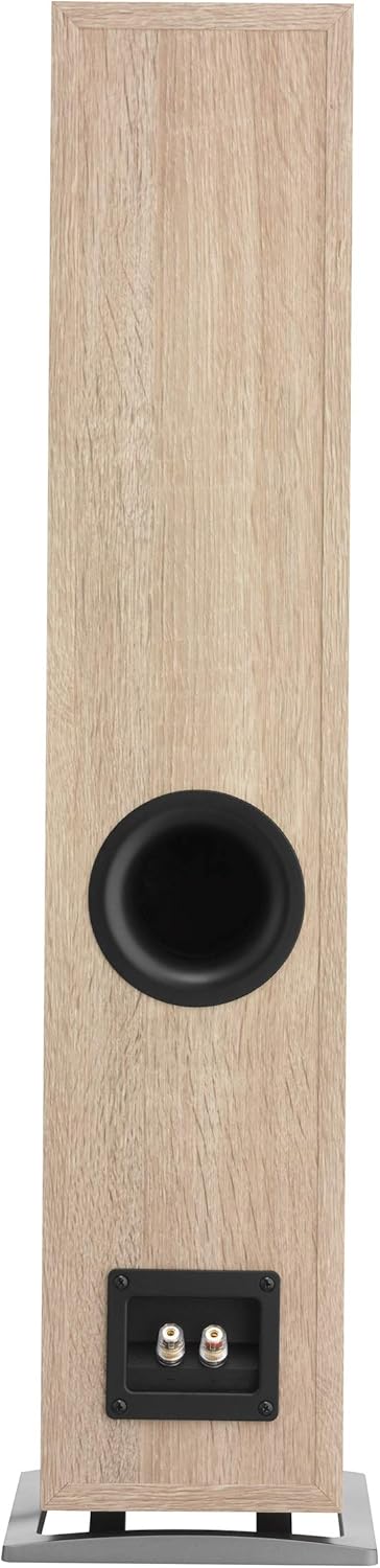 Rear view of DALI Oberon 5 speaker showing bass port and terminals