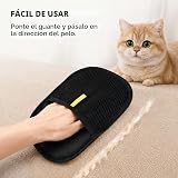 Ver la foto 5