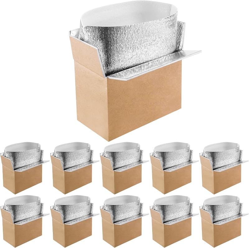10 Pack Double Insulated Shipping Boxes, Cold Pack Mailing Boxes | Reusable Shipping Box, Aluminum Foil Liner, Thermal Insulation, Insulated Bags for Frozen Food, 9.1 x 5.1 x 6.3 Inch