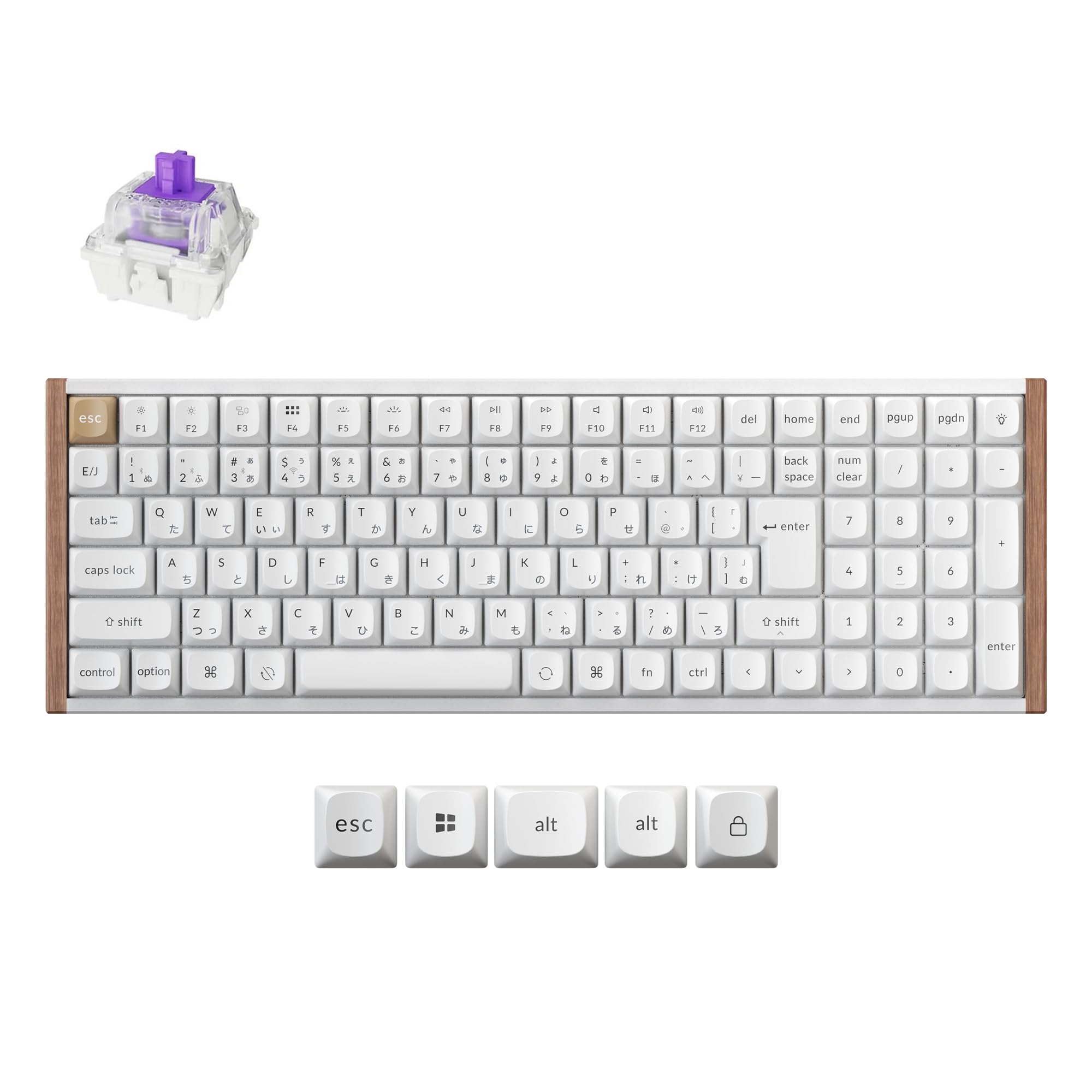 Amazon | 【国内正規品】Keychron K4 HE QMK ワイヤレスゲーミング