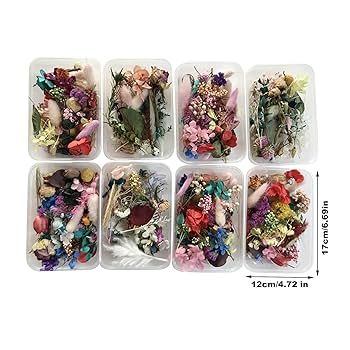 専用　ハンドメイドドライフラワー Amazon.co.jp: 天然ドライフラワー カラフル （ランダムカラー