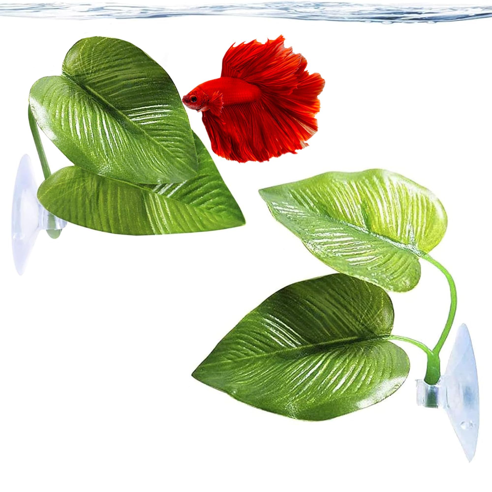 SunGrow Twin Leaf 2-Pack