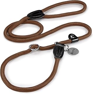 lionto Retrieverleine robust und wetterfest für Hunde Aller Größen, schnell anzulegende Hundeleine und Halsband in Einem, 120 cm, fellschonende Führleine mit integriertem Zugstopp, vegan, braun