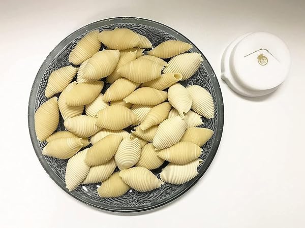 MY PASTA – Rigata XL – Disques pour machine à pâtes | Disque à pâtes Advance pour machine à pâtes maison, compatible avec la série 7000 - 2