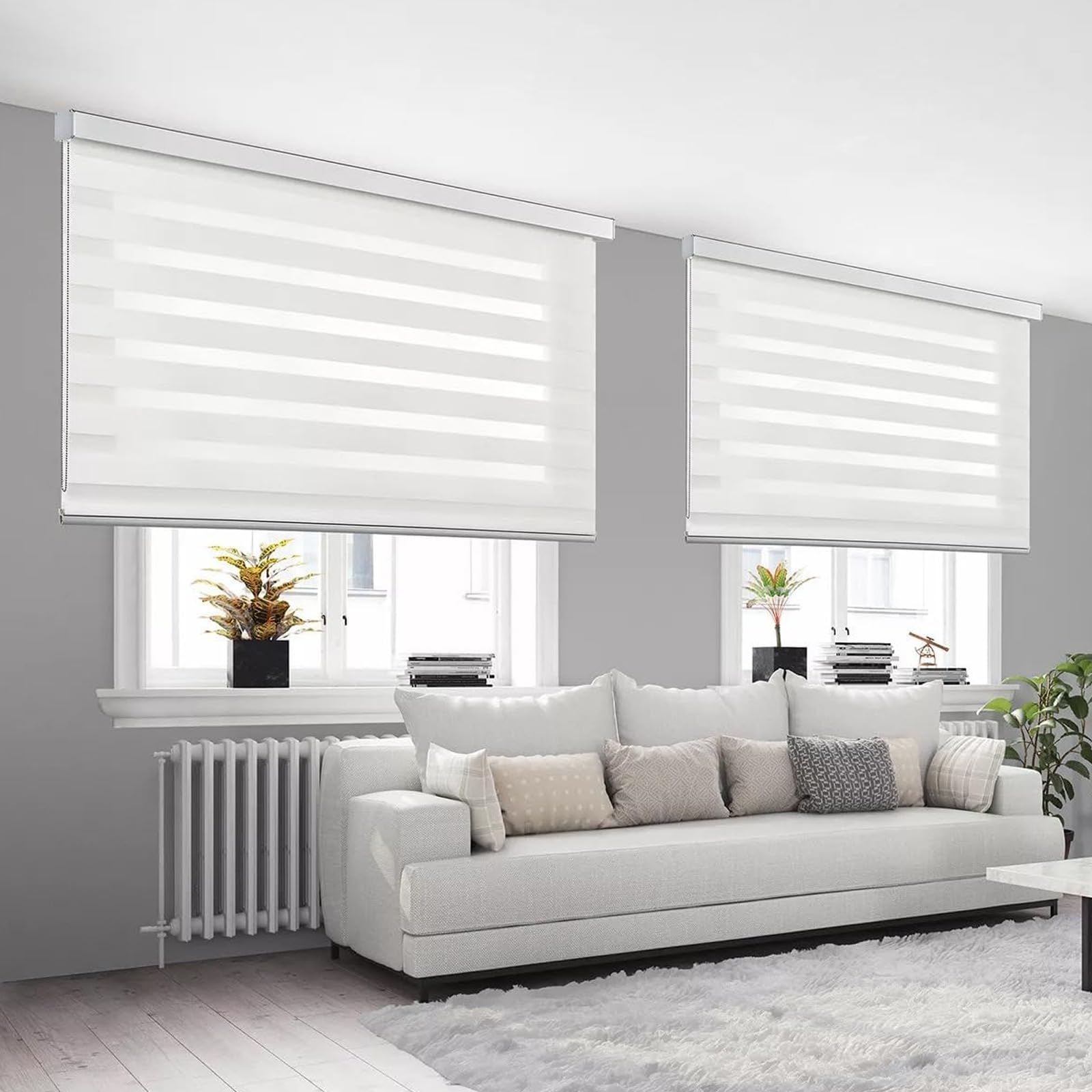 Tenda a Rullo per Interni Doppio Strato con Cassonetto e Catenella, Adatto a Finestra/Porta Finestra, Regolazione Luce e Privacy (Bianco001, 120x300)