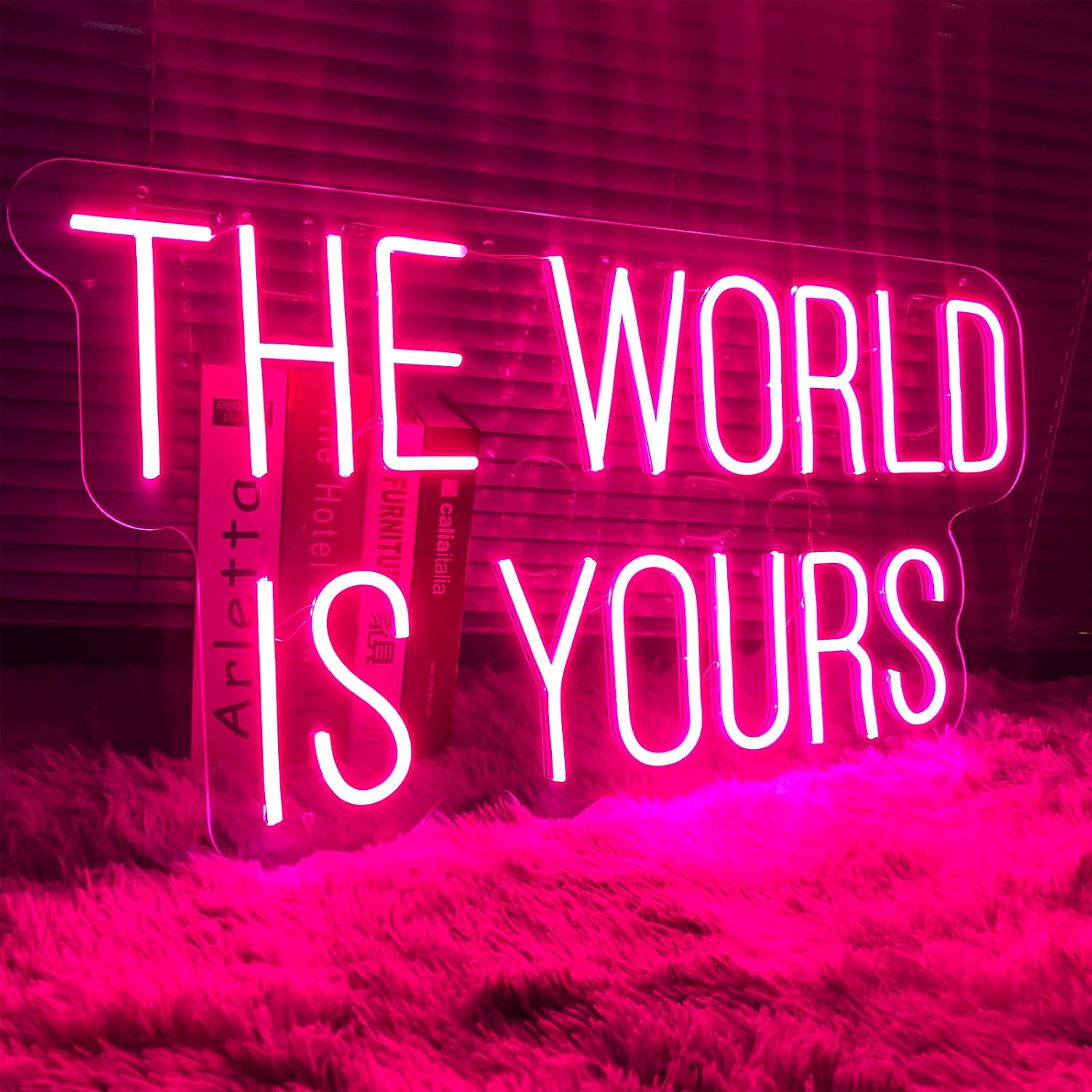 Neon Sign The World Is Yours-Transparent AcrylicLight Up Lights Signs Indoor Bedroom Room Decor Wall Led Neon Sign 15.7×7.8 IN Bar Christmas Party Wedding Girl Boy Living Room Office Pink