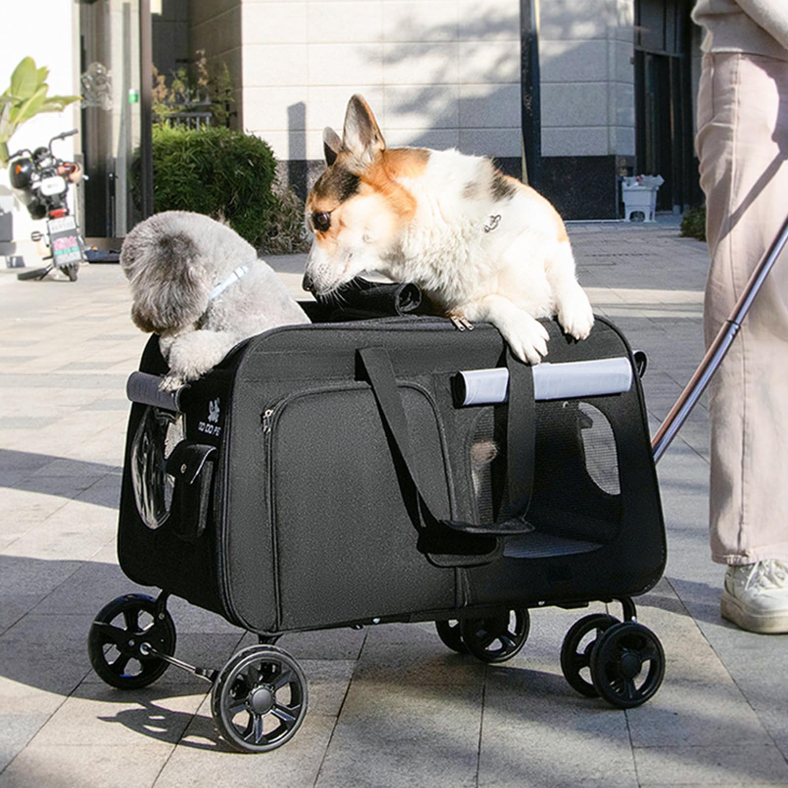 Transportín para gatos con ruedas, transportador extensible para gatos grandes y perros medianos, asa telescópica para un fácil transporte, ideal para visitas al veterinario y viajes