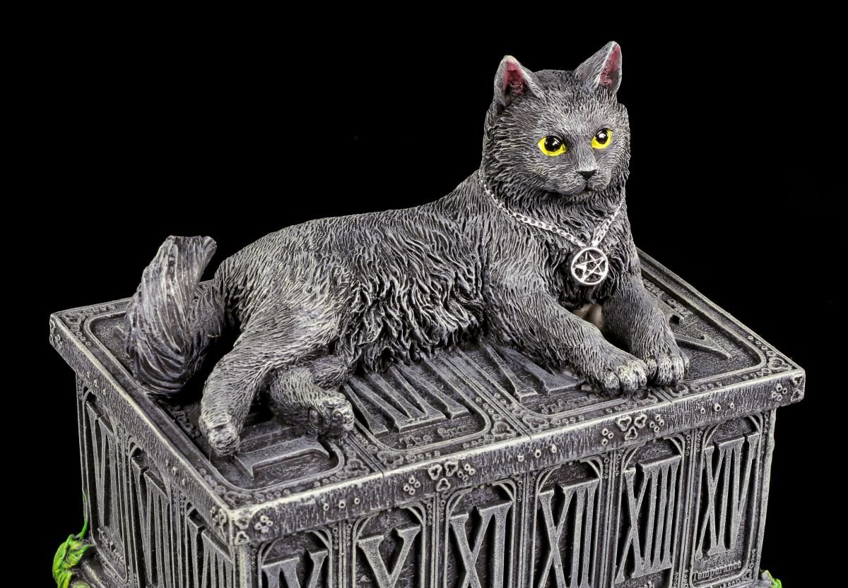 Tarotkarten Schatulle mit schwarzer Katze | Tarot Box Dose Aufbewahrung Schale Gothic Fantasy Figur