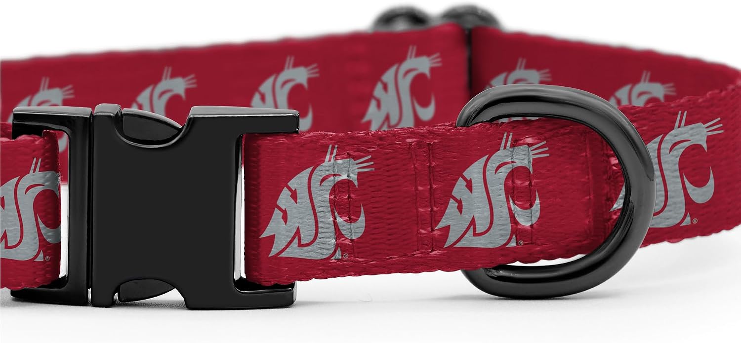 Washington State Cougars Collars and Leashes | Officially Licensed | Fits All Pets! (Large Collar)