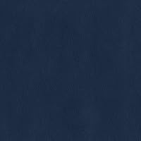 Vista 14 de Vinilo Premium, Duradero, Marino, Tela para Tapicería, Ámbar (Cinco Yardas)